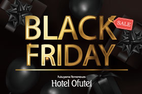 BLACK FRIDAY限定プラン